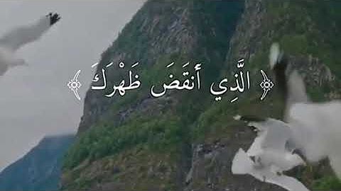 صوت جميل جدا 🌿 الم نشرح لك صدرك || قران كريم 🌺 حالات واتس اب قصيرة ارح سمعك 🕊️💛