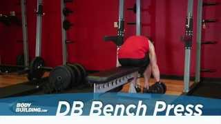 Dumbbell Bench Press - Chest Exercise - Bodybuilding