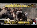 Download Infestation New World | ยิงบอส 20ตัว สไนจะมาหรือไม่มา!! Infestation New World | ยิงบอส 20ตัว สไนจะมาหรือไม่มา!!