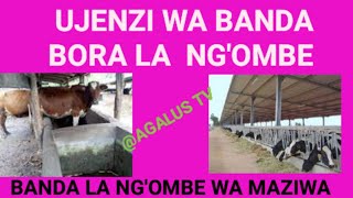 UJENZI WA BANDA BORA LA NGOMBE WA MAZIWA