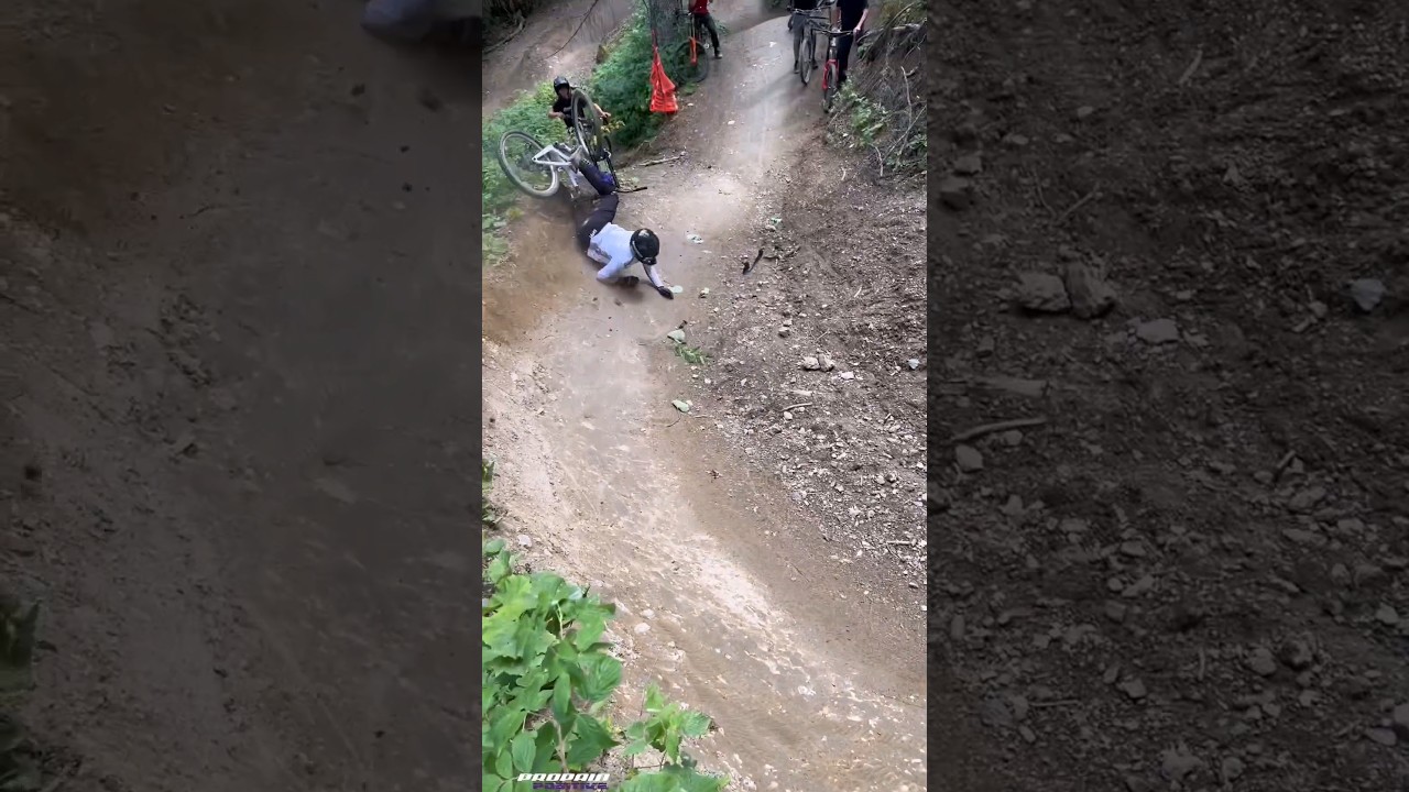 Shralp fail 🤣☠️ 