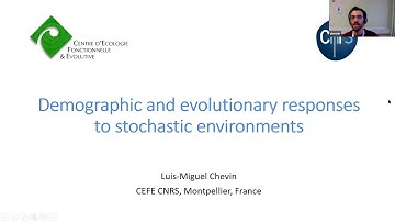 Demographic and evolutionary responses to stochastic environments