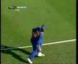 Cricket one of the best Greatest catch