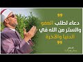 دعاء لطلب العفو والستر من الله في الدنيا والآخرة