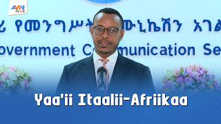 Yaaichi Fakkeenyummaa Itoophiyaan Paan Afrikaanizimii Itti Fufsiisuuf Qabdu Kan Ibsudha