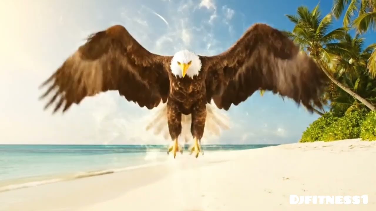 Bikini Model Transforming In To Eagle (djfitness1)