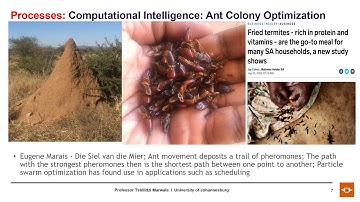 Tshilidzi Marwala TWAS