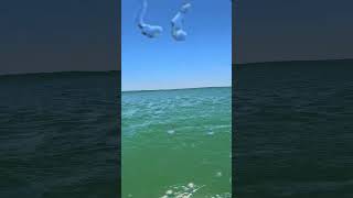 Bodyboard POV: Passing Wave! #Shorts