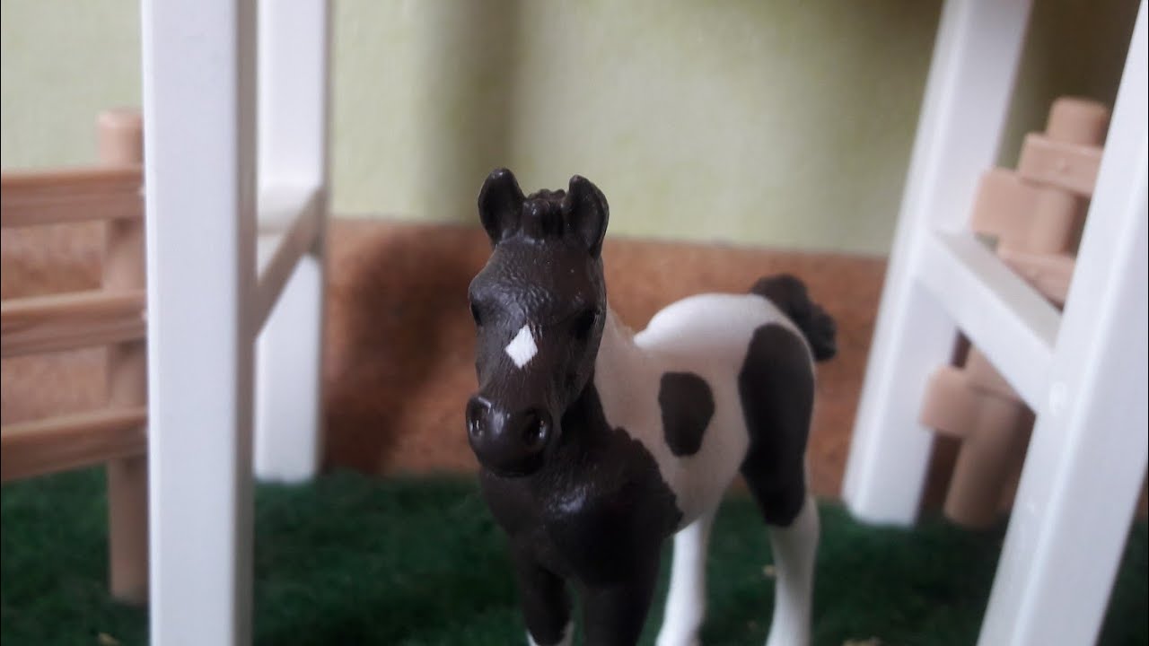 Verletzte Stute und geretteter Hengst🍃❤ Der Horse Club (Folge 5)