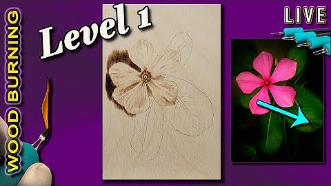 Pyrography (Level 1): Learn how to wood burn a realistic Leaf like a Pro in less than an hour!