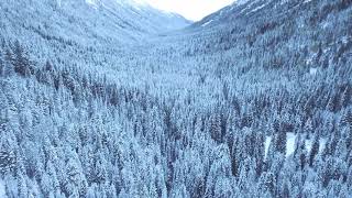 [ No Copyright ] Soft Piano Music For Relaxing /Snowing Background /Relax Music screenshot 2
