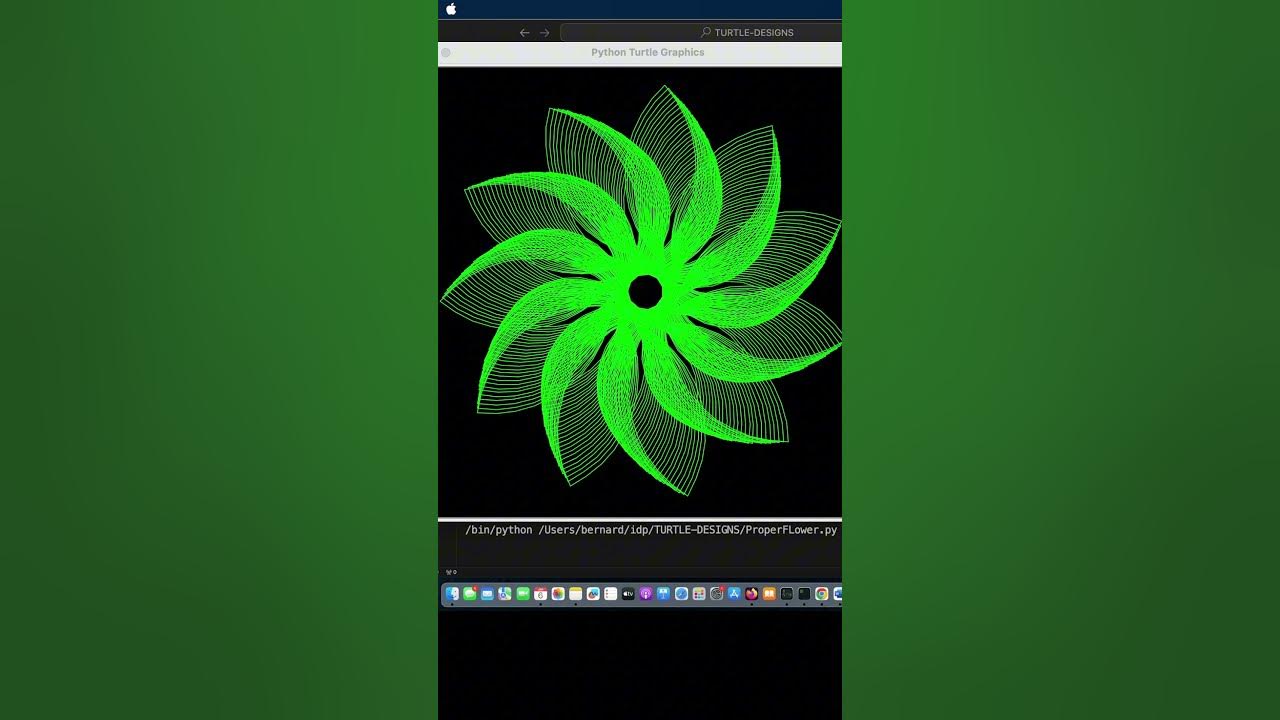 designing with python using turtle example - YouTube