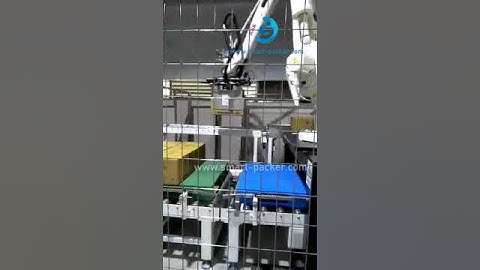 Robot hand ABB brand carton box palletizing machine robot hand palletizer
