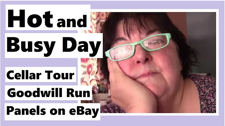 Busy Day - Cellar Tour, Goodwill Run, Panels on eBay