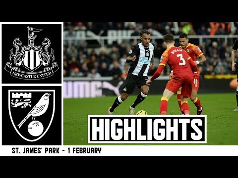 Newcastle Norwich Goals And Highlights