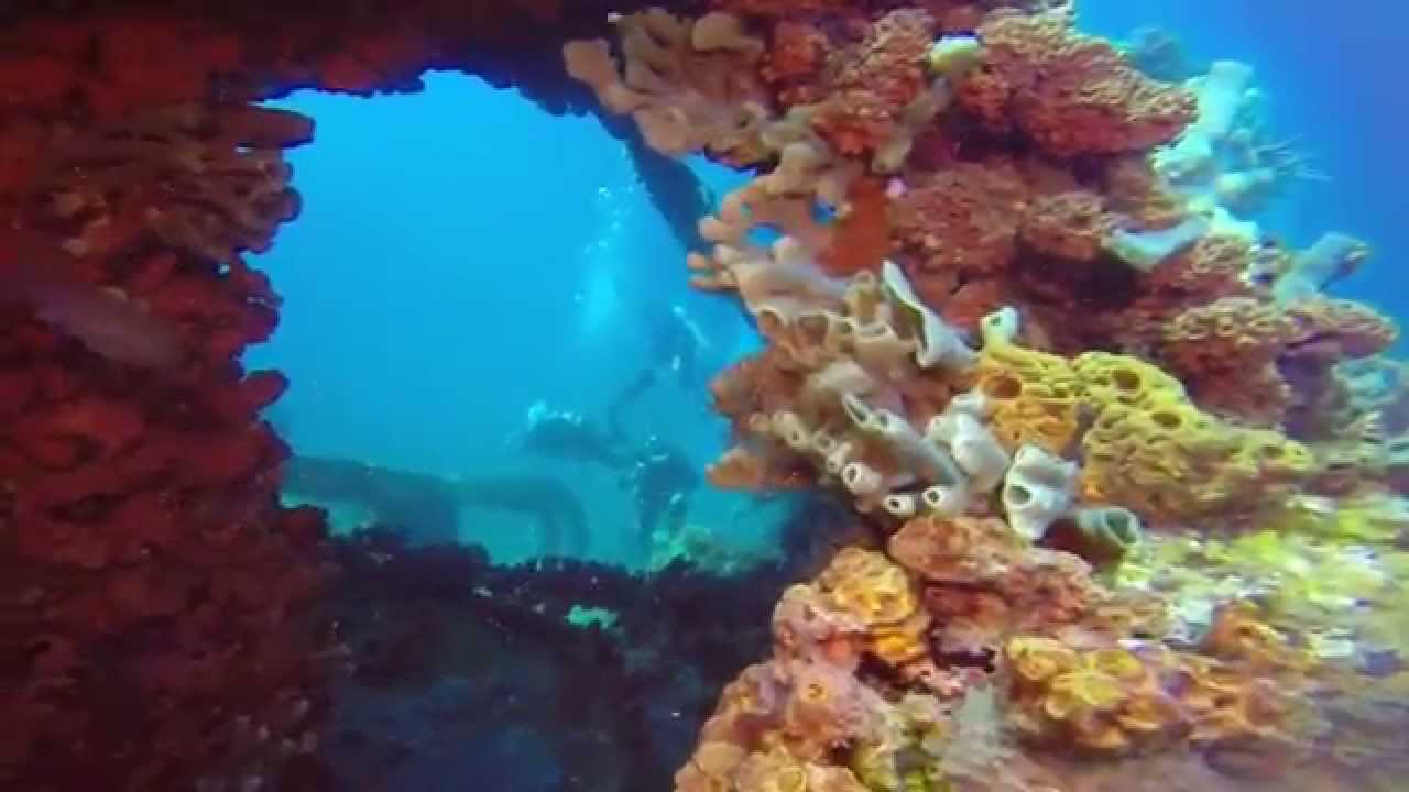 BLUE WATER SCUBA
