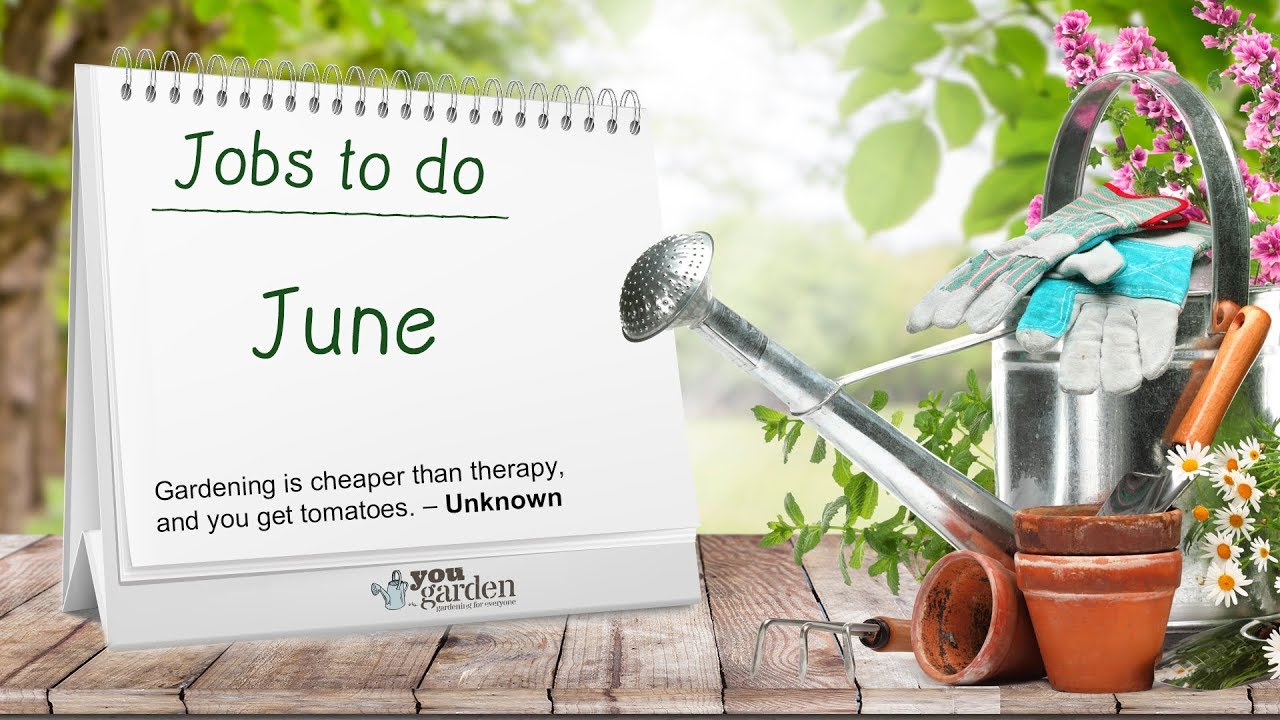Jobs to do in your garden in June! YouTube