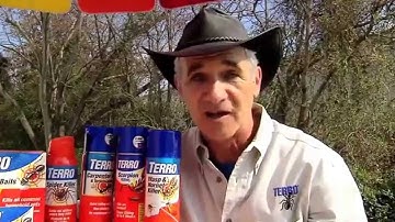 Spring Survival Guide: How to Control Insects