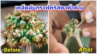 เคล็ดลับกราฟคริสตาต้าด่าง ฉบับกล้าได้กล้าเสีย EP.41