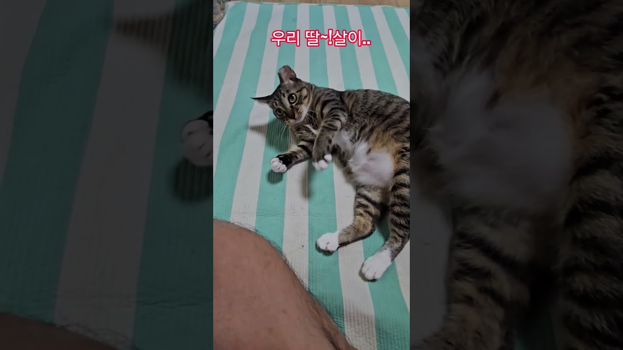 우리 딸 #햇살 #부산강서구 #구독 #좋아요 #감사합니다