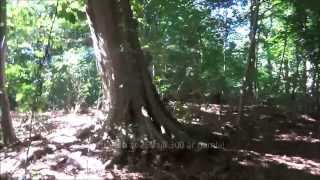 En Cykeltur Vid Öresund - Del 2