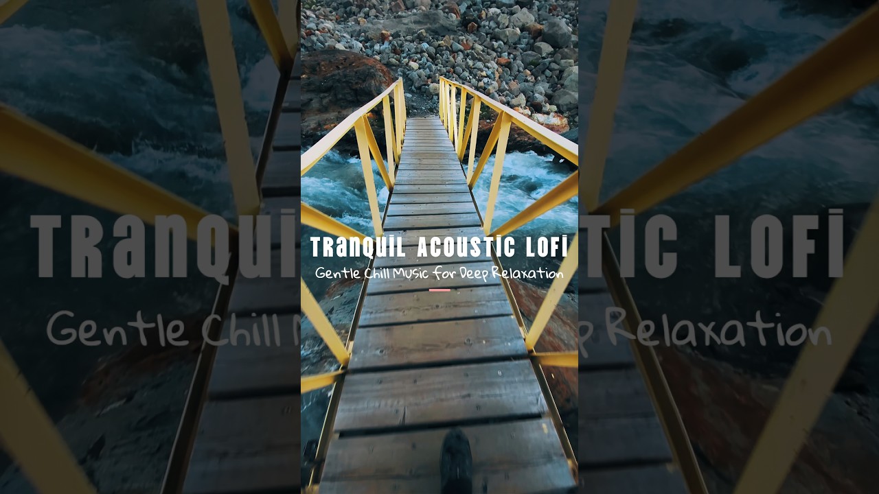 Calming Acoustic Lofi #shorts