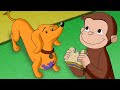 ハンドリーは王族!? 🐵 おさるのジョージ