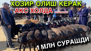 видео: ХОР БУЛАДИ! 26 ОКТЯБРЬ КУЙ КУЗИ НАРХЛАРИ 2025.КАШКАДАРЁ КАРШИ КАРВОН МОЛ БОЗОРИ НАРХЛАРИ 2025. картинка: ХОР БУЛАДИ! 26 ОКТЯБРЬ КУЙ КУЗИ НАРХЛАРИ 2025.КАШКАДАРЁ КАРШИ КАРВОН МОЛ БОЗОРИ НАРХЛАРИ 2025.