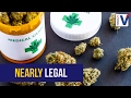 Legal medical marijuana in SA could lead to long-term abuse - psychiatrist