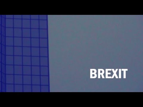 Requin Chagrin X Rémi Parson - Brexit