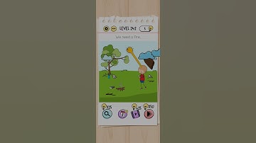 brain test level : 242