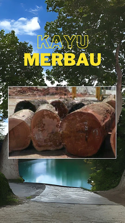 10 Jenis Kayu Popular di Malaysia #JenisKayu #fypシ #fypシ゚viral #fypage