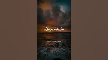 يَوۡمَ تُبَدَّلُ ٱلۡأَرۡضُ غَيۡرَ ٱلۡأَرۡضِ|القارئ رضوان يحيى دعوس #تلاوة_خاشعة
