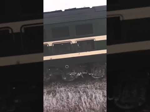 نازل يا قطار الشوك نازل هاي ديرتنه