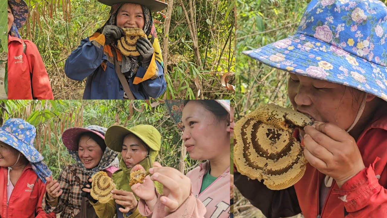 Pab no tau khoom qab noj lawm 6 ມີນາ 2026