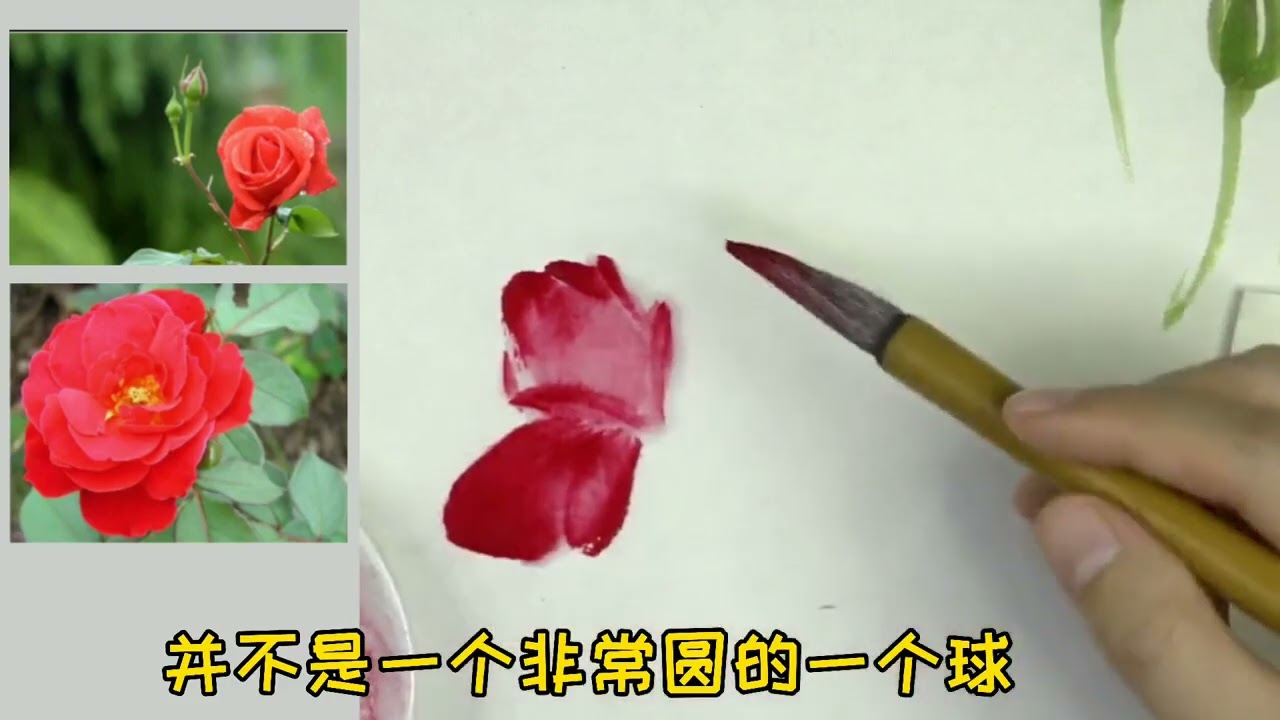 国画花鸟月季花——花头的画法