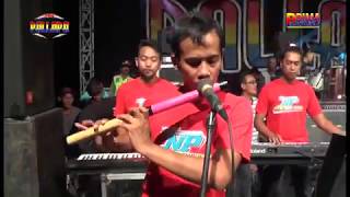 TERSESAT  Brodin New Palapa 2018