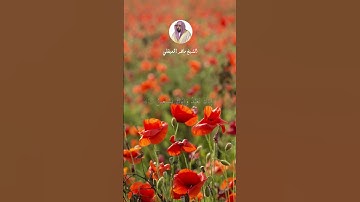 #سورة_الفاتحة #ماهر_المعيقلي من الآية 1 إلى 7