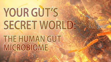 Human gut microbiome | microbiome animation | #microbiome | #gutmicrobiome | #microbiota #guthealth