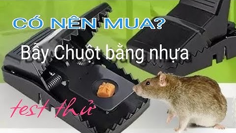 Bẫy Chuột bằng nhựa | Test thử xem chất lượng như thế nào?