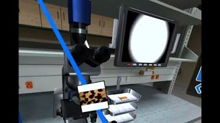 Learny - CloudLabs: Laboratorio de química en Realidad Virtual (Morfología celular)