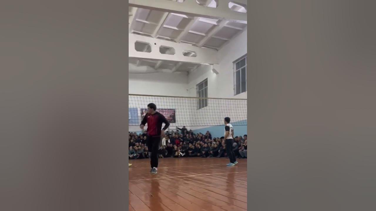 Ошаба валибол