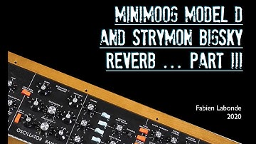 SYNTH DEMO #23 Weird sounds with Minimoog model D and Strymon BigSky Reverb #3