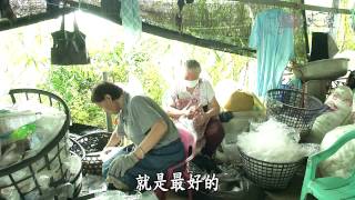 【草根菩提】20140923 - 阿嬤的正法