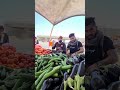 المرادية سلة العراق للمخضر بأنواعه