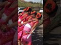 Koraputia dhemsa dance  koraputiadance viral dance damanjodi