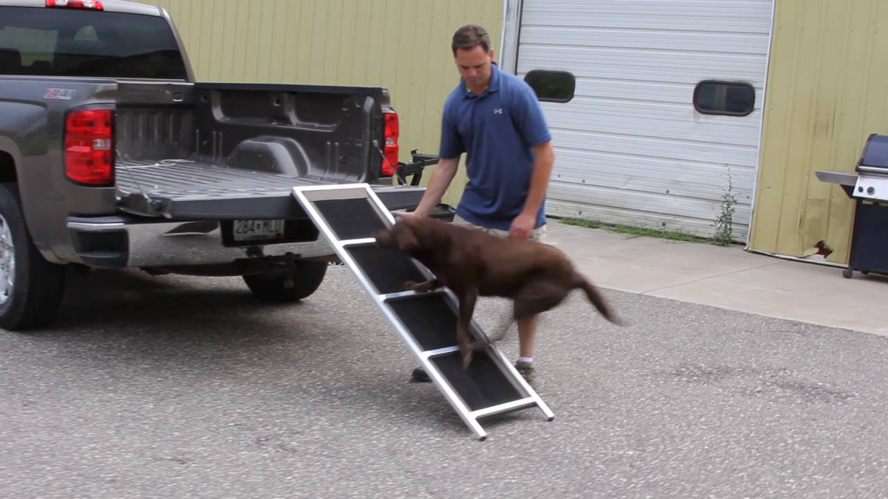 dog ramp for pickup truck