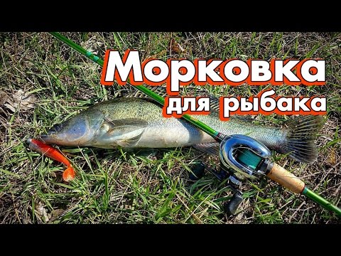 Обзор спиннинга CarrotStix