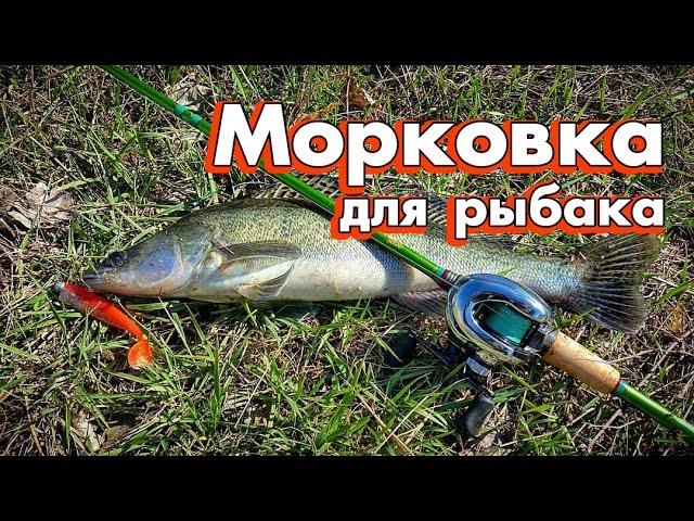 Морковка для рыбака