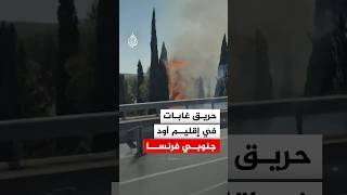 حريق غابات في إقليم أود الفرنسي وارتفاع كثيف لأعمدة الدخان